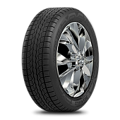 265/50 R20 Duraturn Mozzo STX 111V