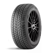 275/45 R20 Doublestar DW09 110H XL